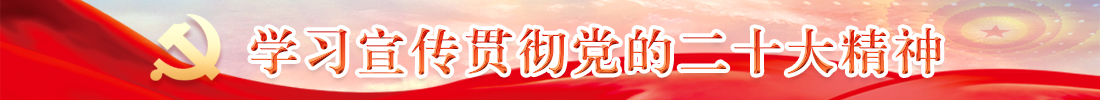 學習宣傳貫徹黨的二十大精神